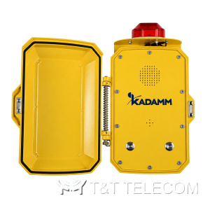 Всепогодный IP-телефон громкой связи KADAMM TALK-3310 (ТЛ3310) с дверцей и двумя кнопками