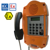 TLS 229 A1C9FGL Le Las телефон взрывозащищенный всепогодный антивандальный | Клавиатура, трубка, дисплей, громкая связь, сигнальная лампа