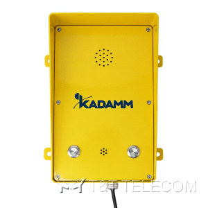 Всепогодное IP-переговорное устройство KADAMM ТЛ3316-2С (TALK-3316-2S), IP66