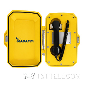 Всепогодный GSM-телефон прямого вызова KADAMM TALK-7602-GSM (ТЛ7602-GSM) с дверцей