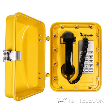 Всепогодный промышленный GSM/3G-телефон KADAMM ТЛ3909 (TALK-3909) с дверцей